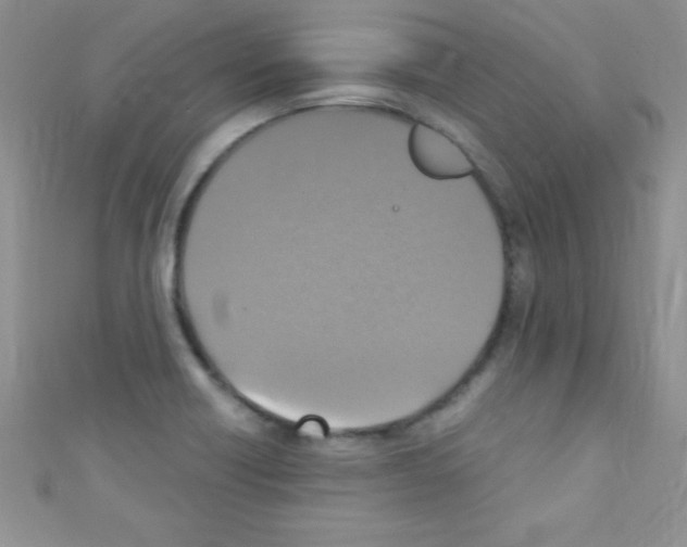 X0000110731418200907241218