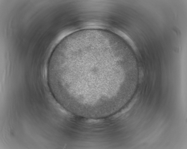 X0000110731419200907241218