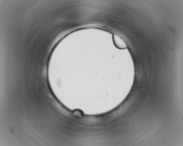 X0000110731420200907241218
