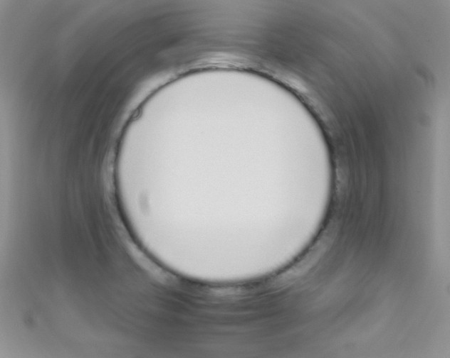 X0000110731421200907241218