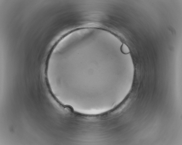 X0000110731422200907241218