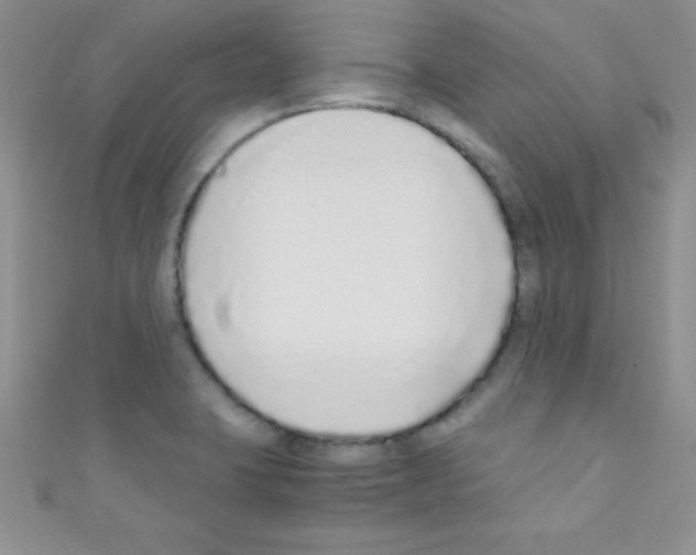 X0000110731423200907241218