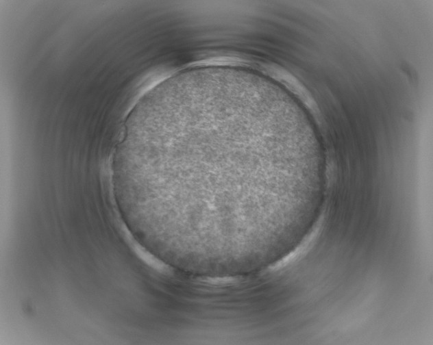 X0000110731425200907241218