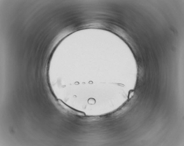 X0000110731426200907241218