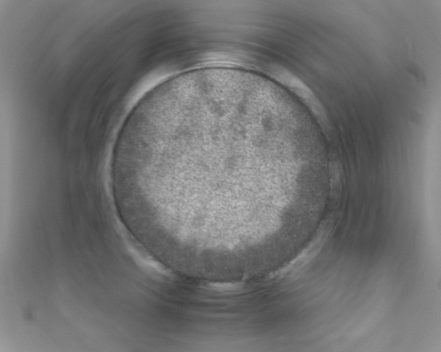X0000110731427200907241218