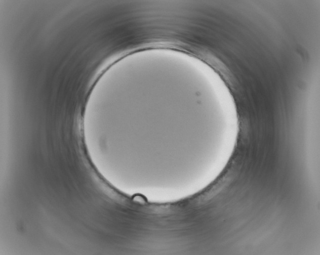 X0000110731428200907241218