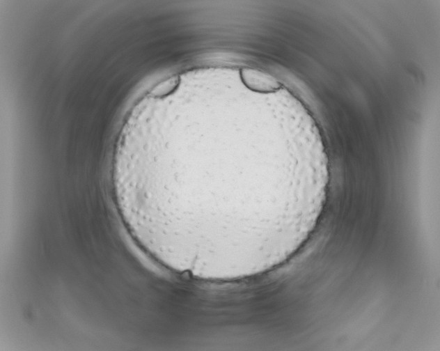 X0000110731429200907241218