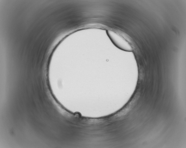 X0000110731430200907241218