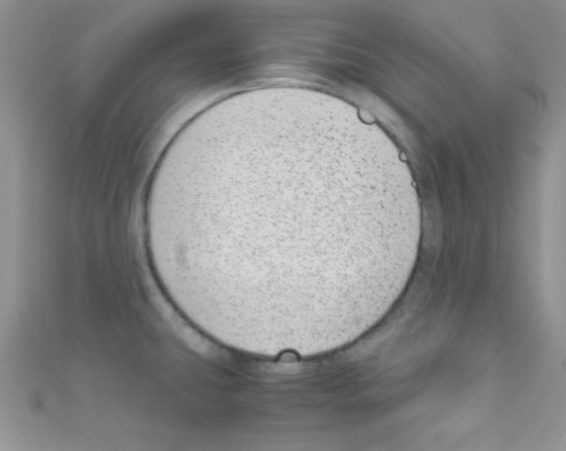 X0000110731431200907241218