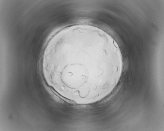 X0000110731432200907241218