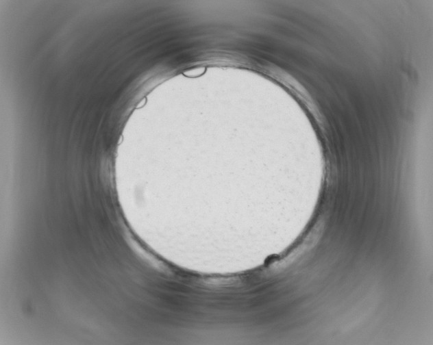 X0000110731433200907241218