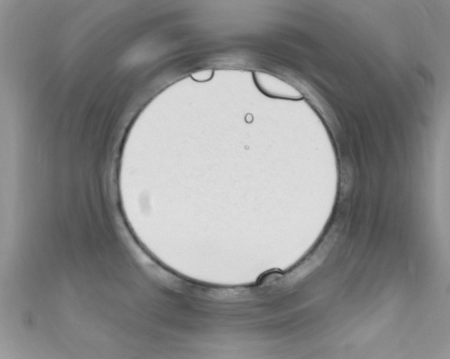X0000110731434200907241218