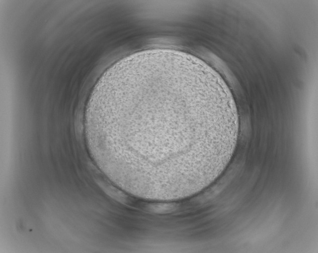 X0000110731435200907241218