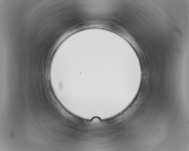 X0000110731436200907241218