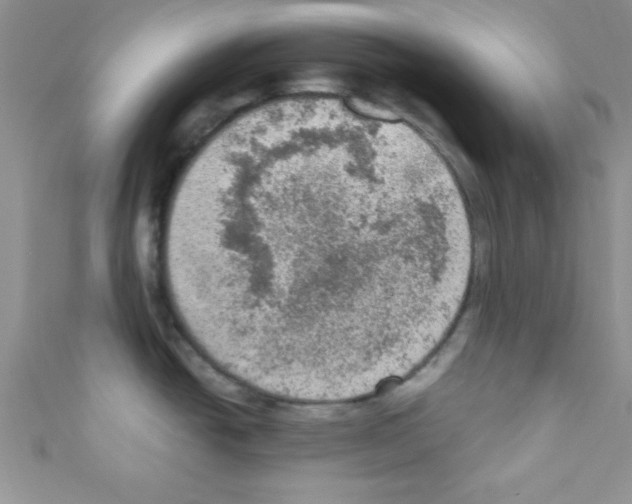 X0000110731438200907241218