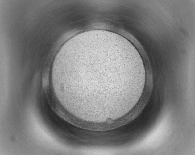 X0000110731439200907241218