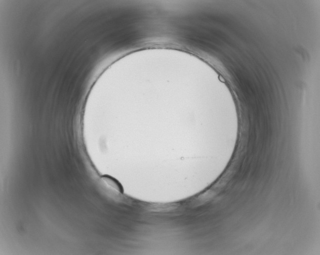 X0000110731440200907241219