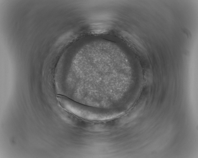 X0000110731441200907241218