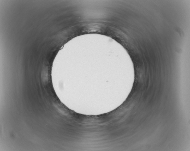 X0000110731442200907241218
