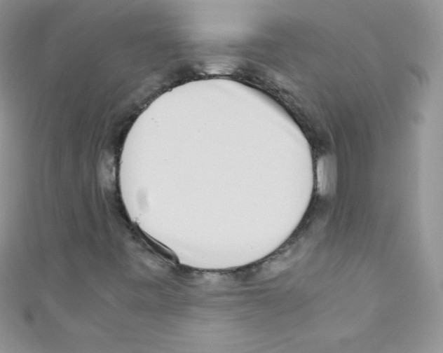 X0000110731443200907241218