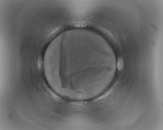 X0000110731444200907241218