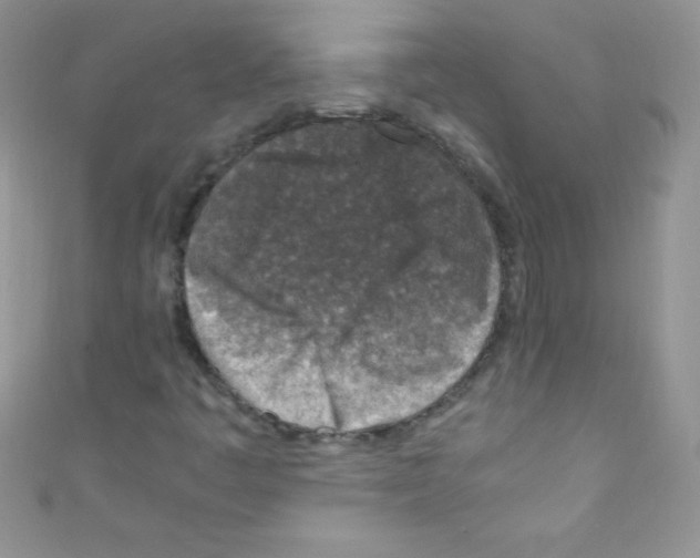 X0000110731445200907241218