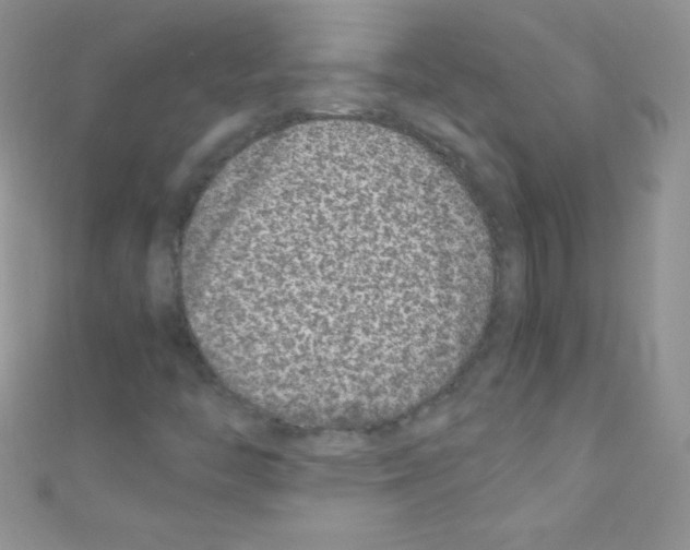 X0000110731446200907241218