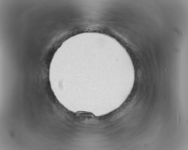 X0000110731447200907241218