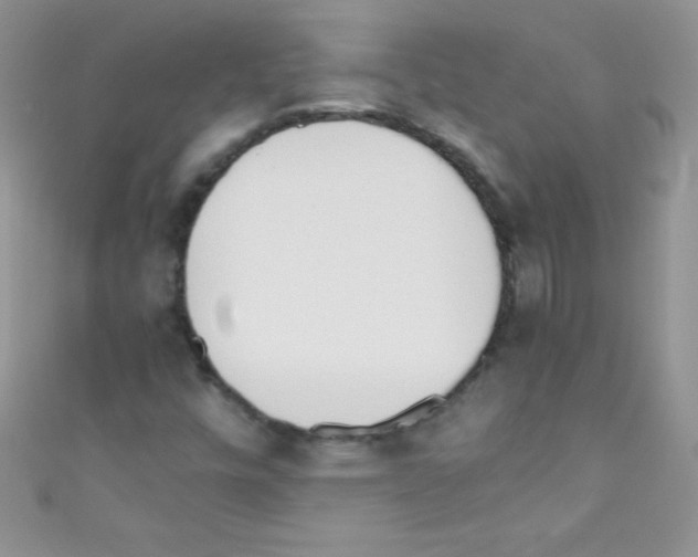 X0000110731448200907241218