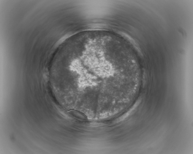 X0000110731449200907241218