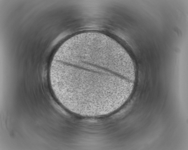 X0000110731450200907241218
