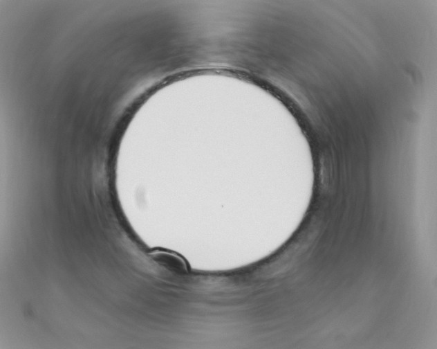 X0000110731452200907241218