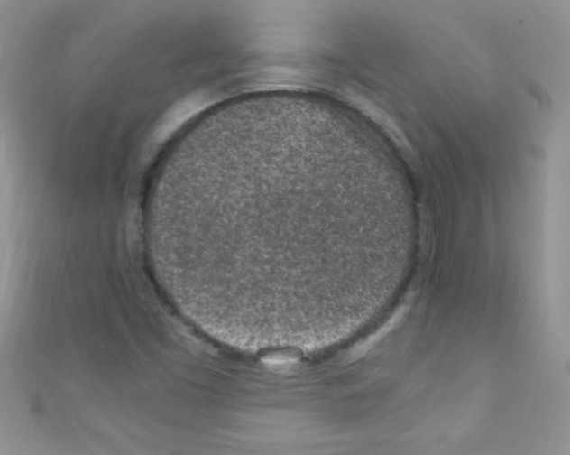 X0000110731453200907241218