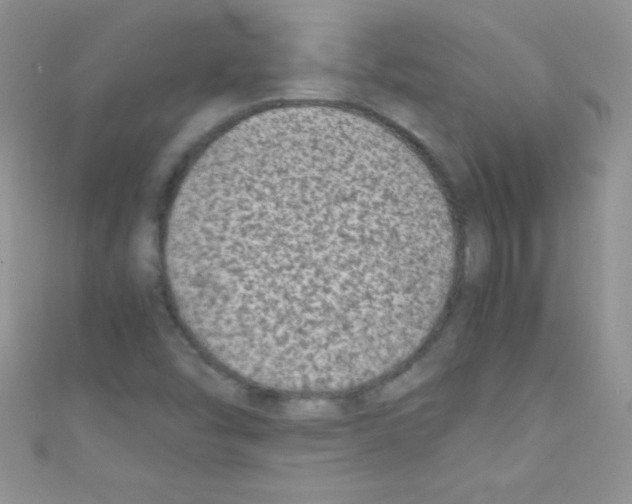 X0000110731454200907241218