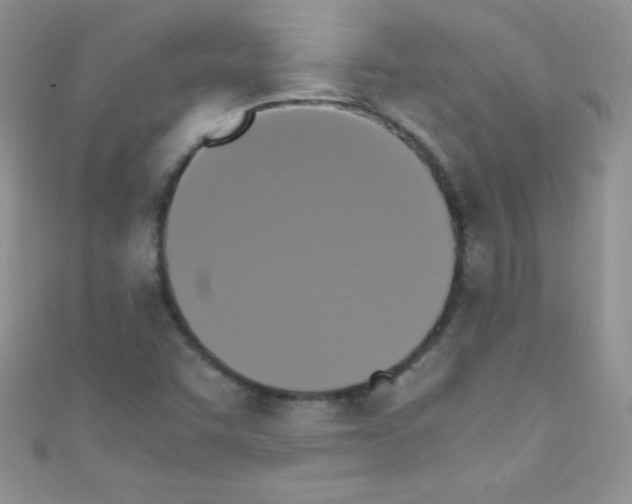 X0000110731455200907241218