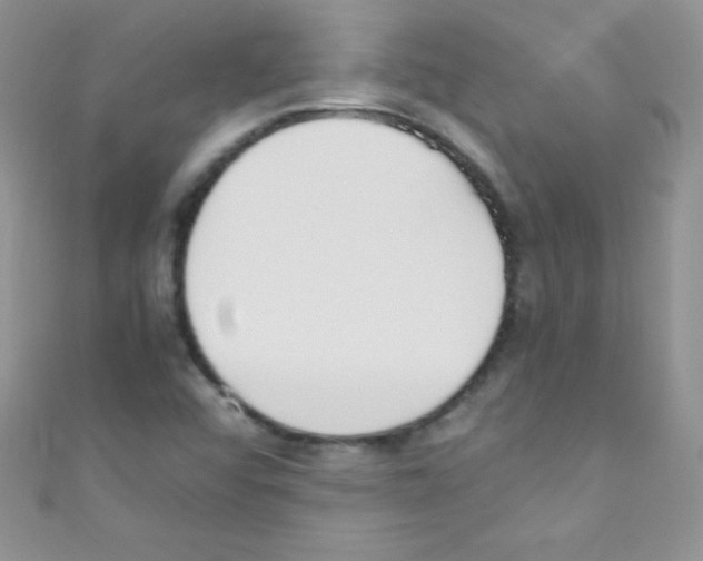 X0000110731456200907241218