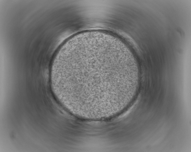 X0000110731457200907241218