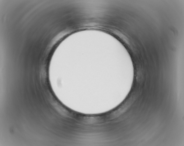 X0000110731458200907241218