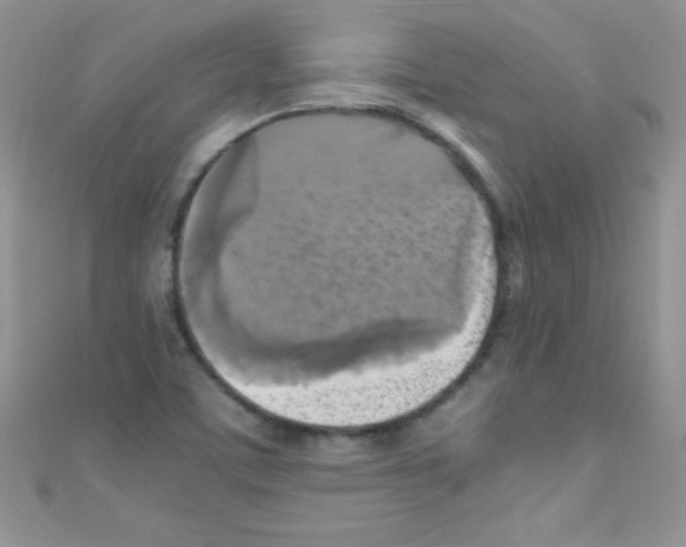 X0000110731459200907241218