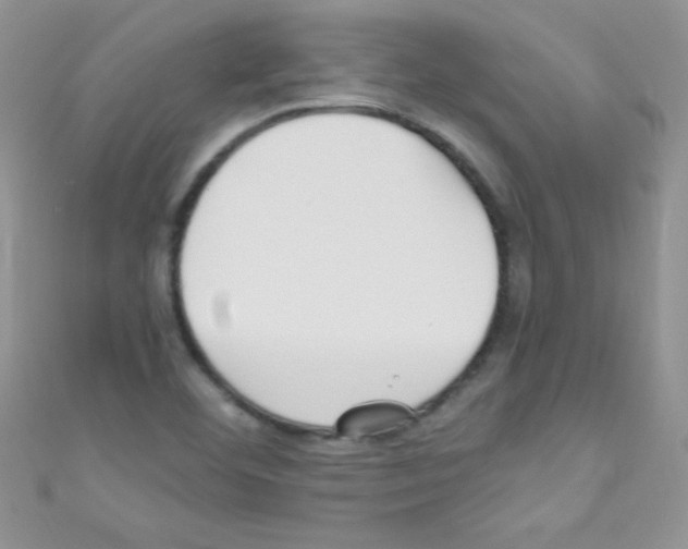X0000110731460200907241218