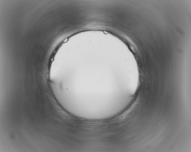 X0000110731461200907241218