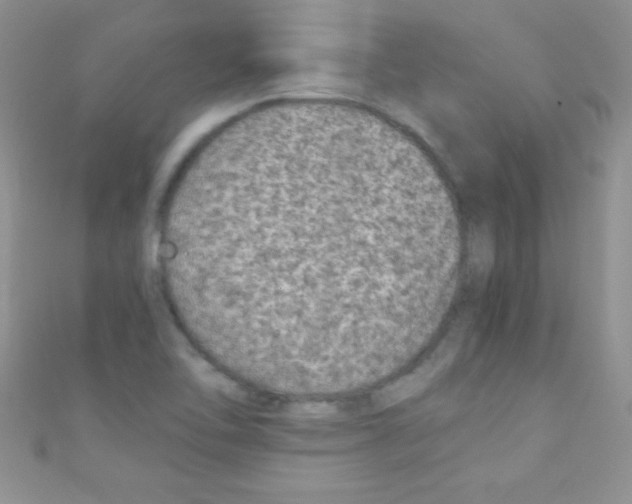 X0000110731462200907241218