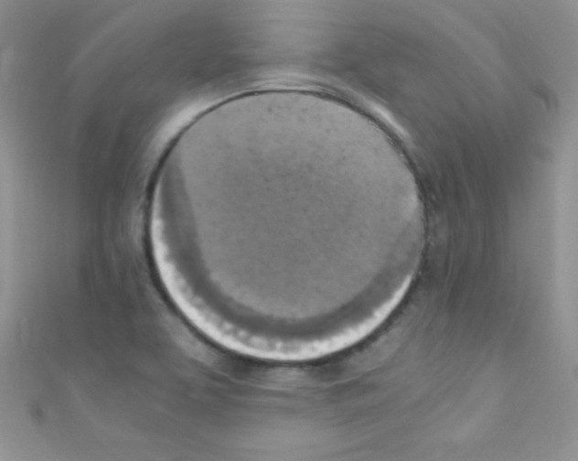 X0000110731463200907241218