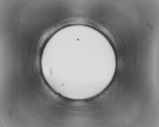 X0000110731464200907241218