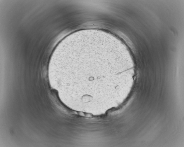X0000110731465200907241218