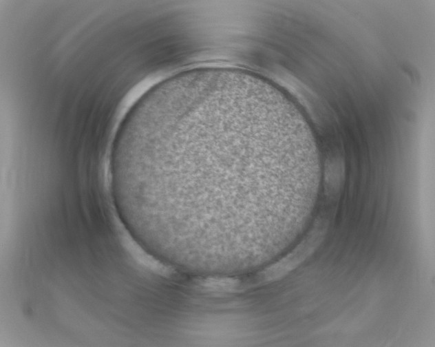 X0000110731466200907241218