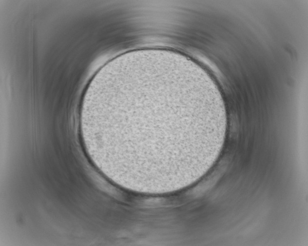 X0000110731467200907241218