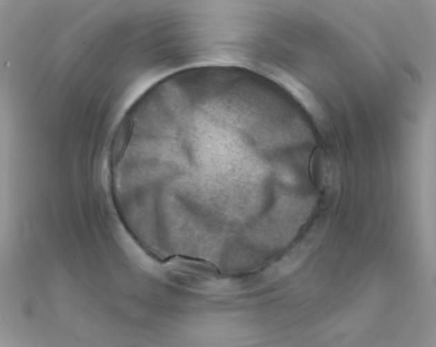 X0000110731468200907241218