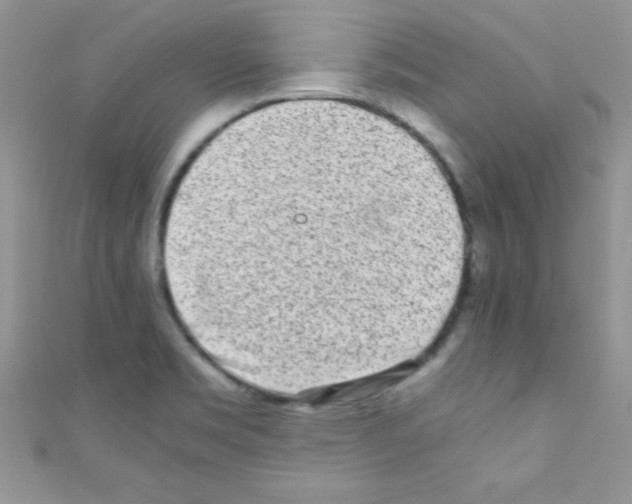 X0000110731469200907241218