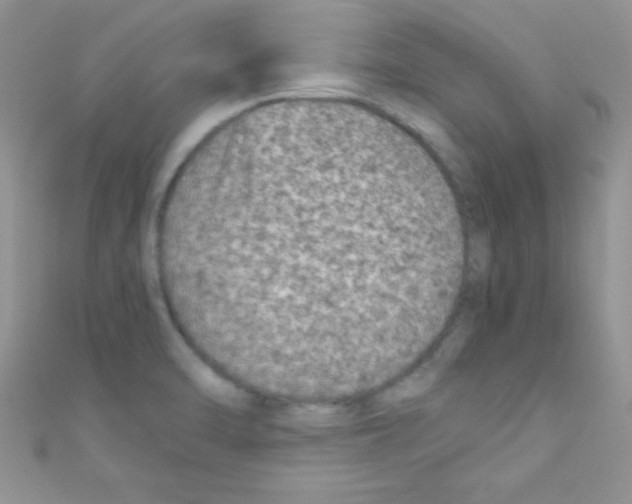 X0000110731470200907241218